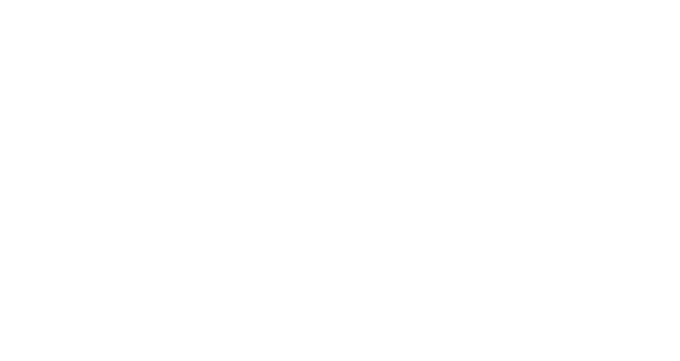 Auswärtiges Amt (German Federal Foreign Office)